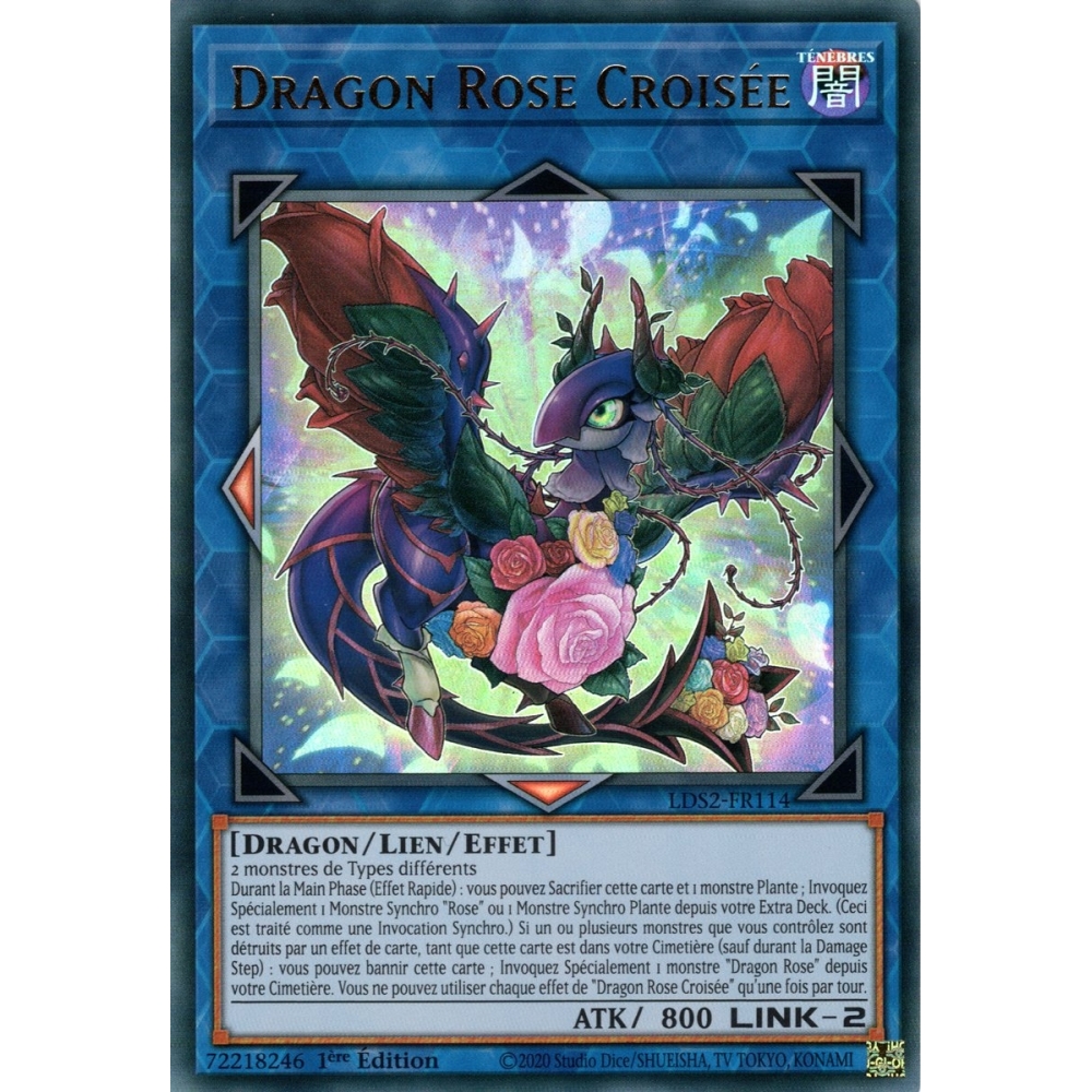 Dragon Rose Croisée LDS2-FR114