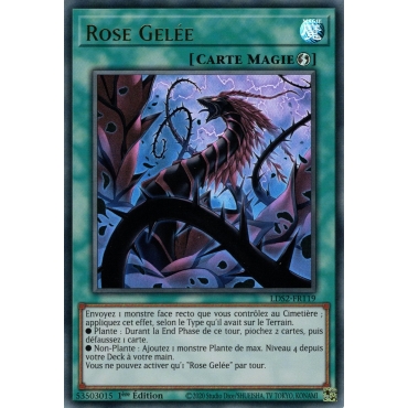 Rose Gelée LDS2-FR119