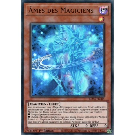 Âmes des Magiciens LDS3-FR088