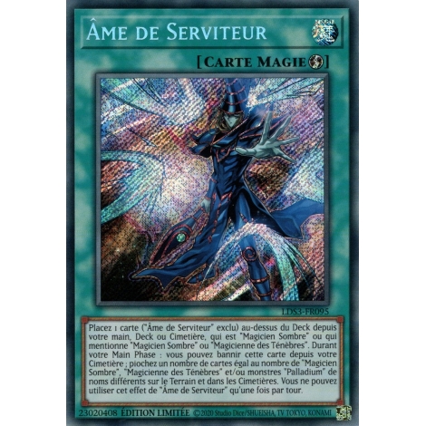 Âme de Serviteur LDS3-FR095