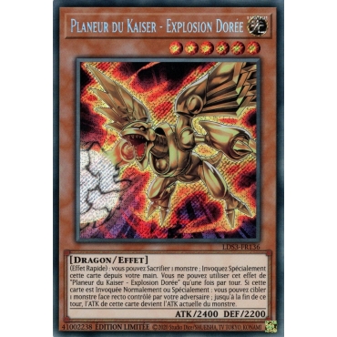 Explosion Dorée LDS3-FR136