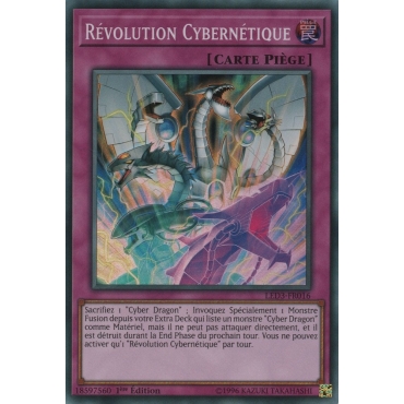 Révolution Cybernétique LED3-FR016