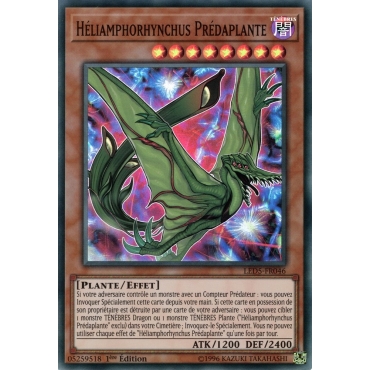 Héliamphorhynchus Prédaplante LED5-FR046