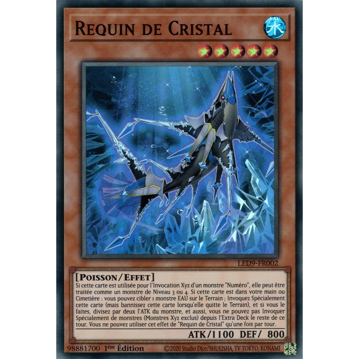 Requin de Cristal LED9-FR002