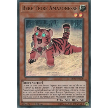 Bébé Tigre Amazonesse LEDU-FR009