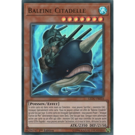 Baleine Citadelle LEDU-FR016