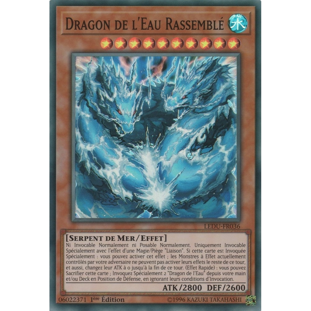 Dragon de l'Eau Rassemblé LEDU-FR036