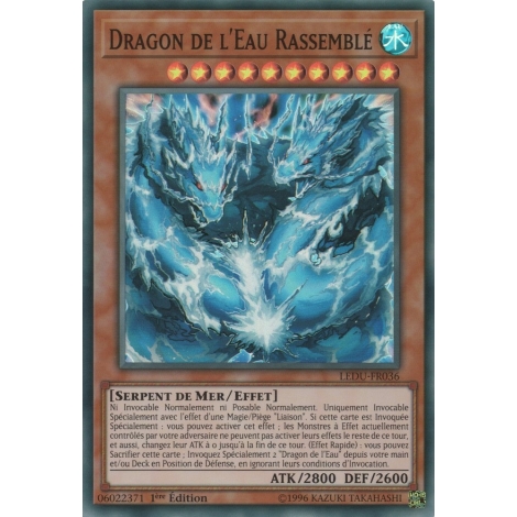 Dragon de l'Eau Rassemblé LEDU-FR036