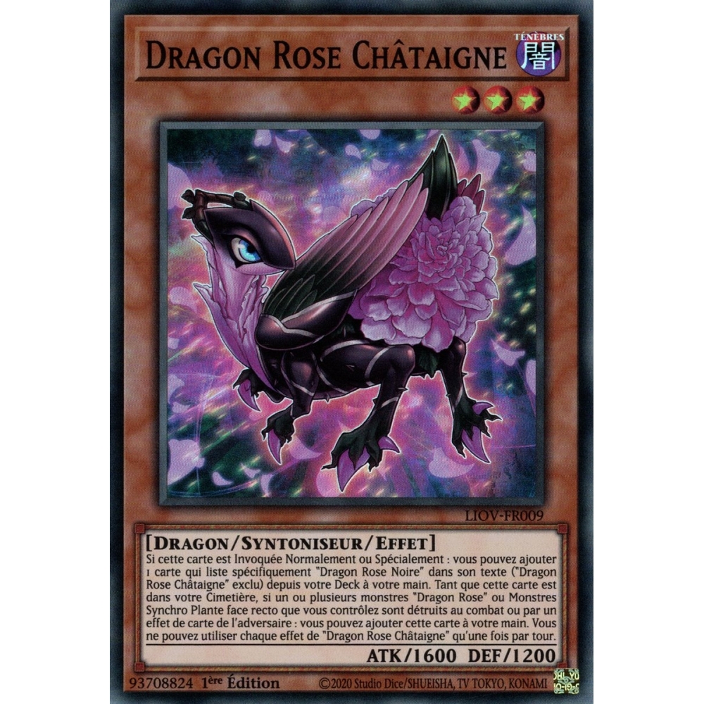 Dragon Rose Châtaigne LIOV-FR009