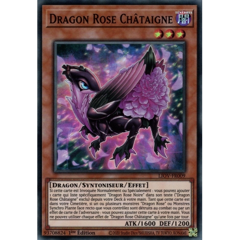 Dragon Rose Châtaigne LIOV-FR009