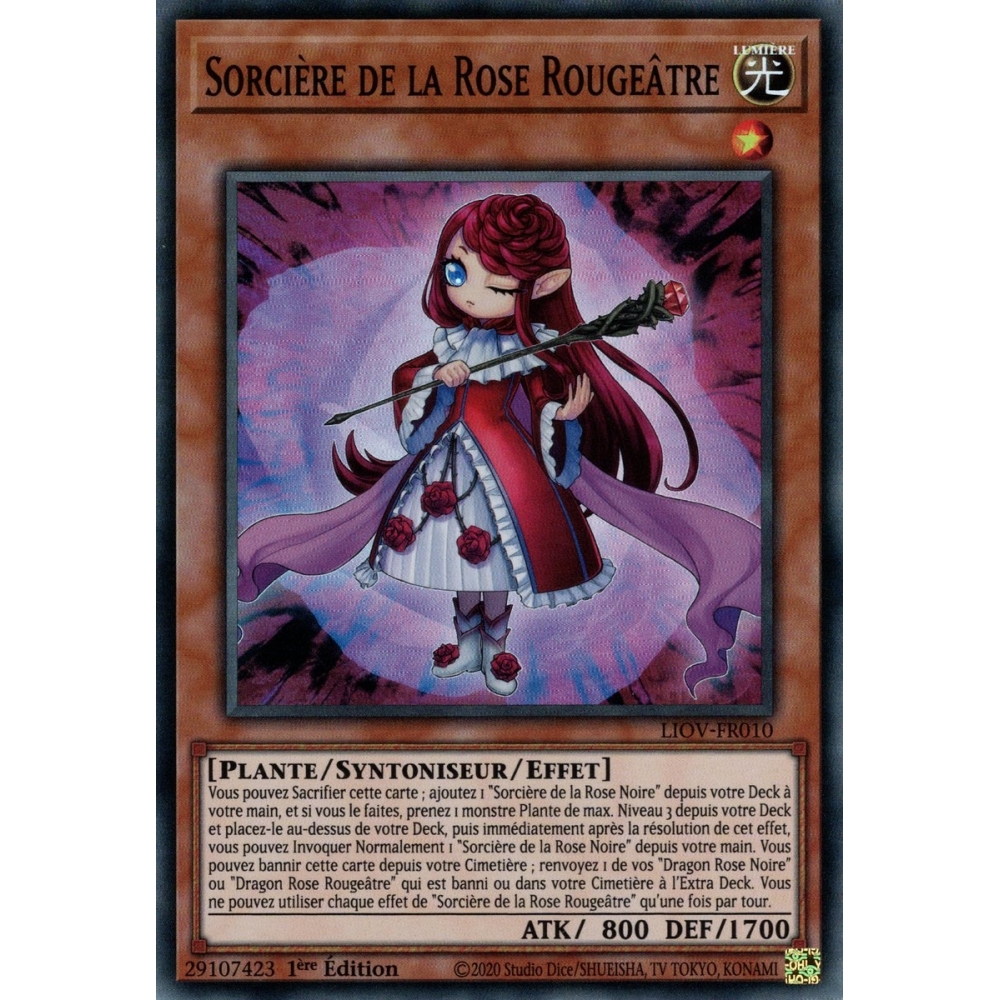 Sorcière de la Rose Rougeâtre LIOV-FR010