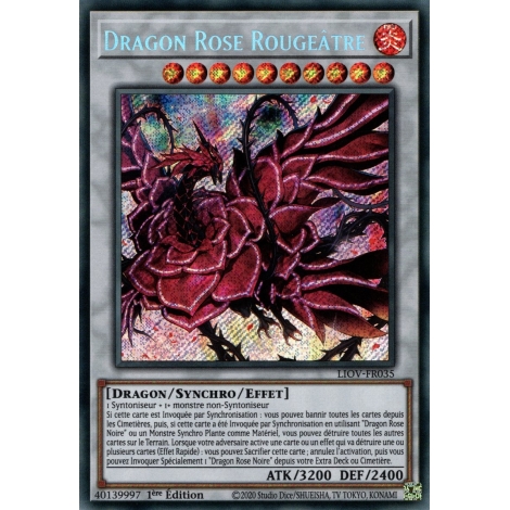 Dragon Rose Rougeâtre LIOV-FR035