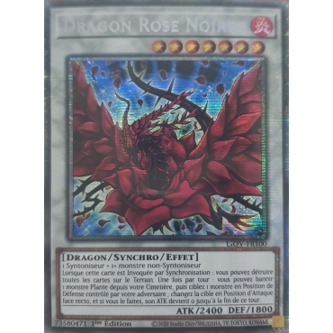 Dragon Rose Noire LIOV-FR100