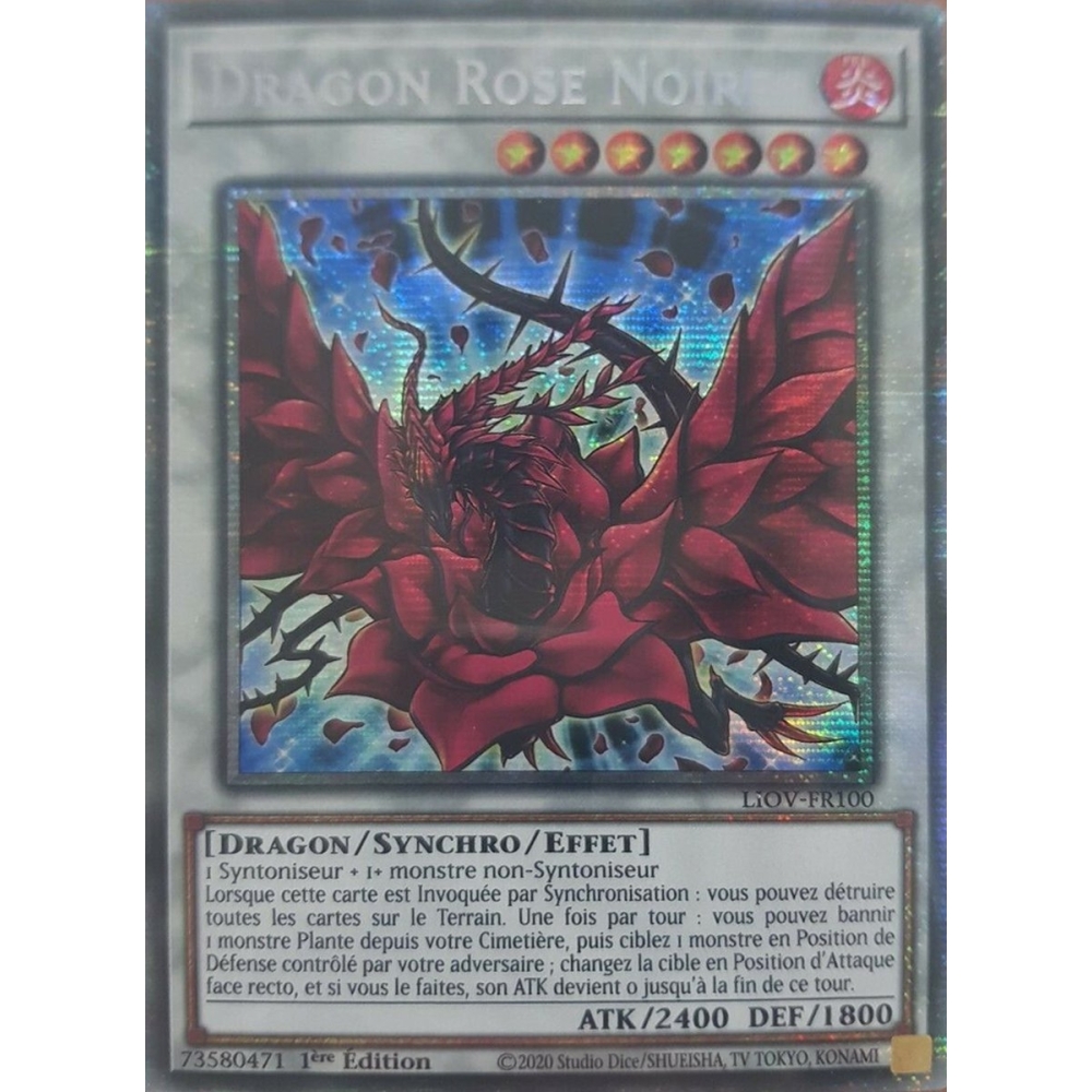 Dragon Rose Noire LIOV-FR100