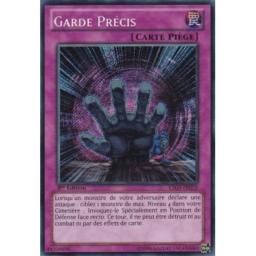 Garde Précis LTGY-FR069