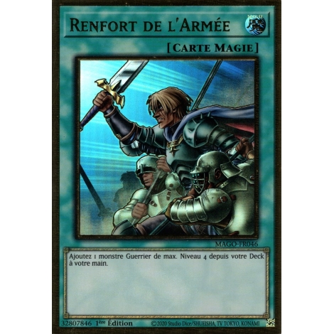 Renfort de l'Armée MAGO-FR046