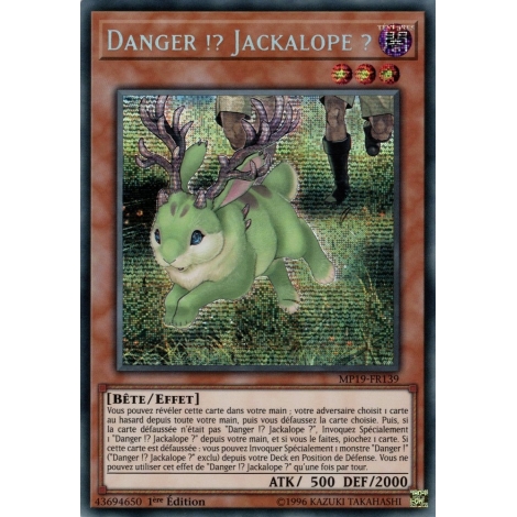 Danger !? Jackalope ? MP19-FR139