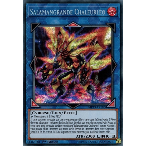 Salamangrande Chaleurléo MP19-FR186