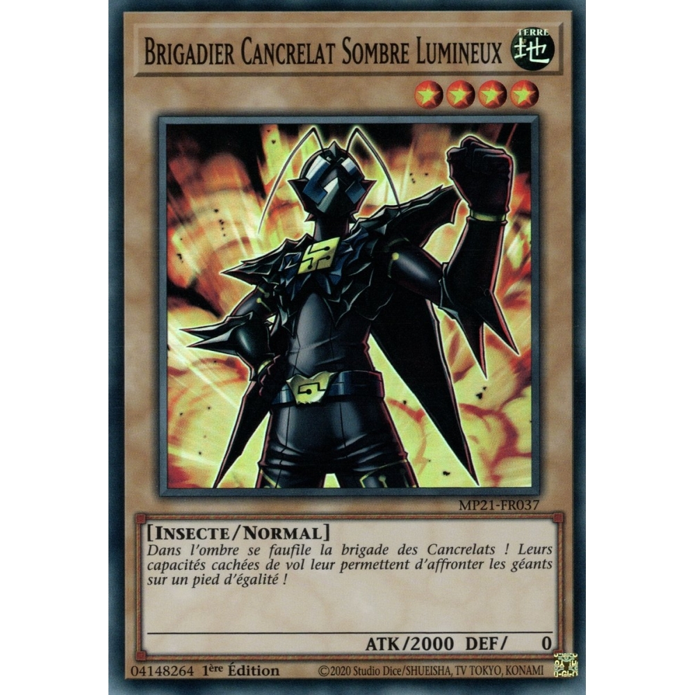 Brigadier Cancrelat Sombre Lumineux MP21-FR037