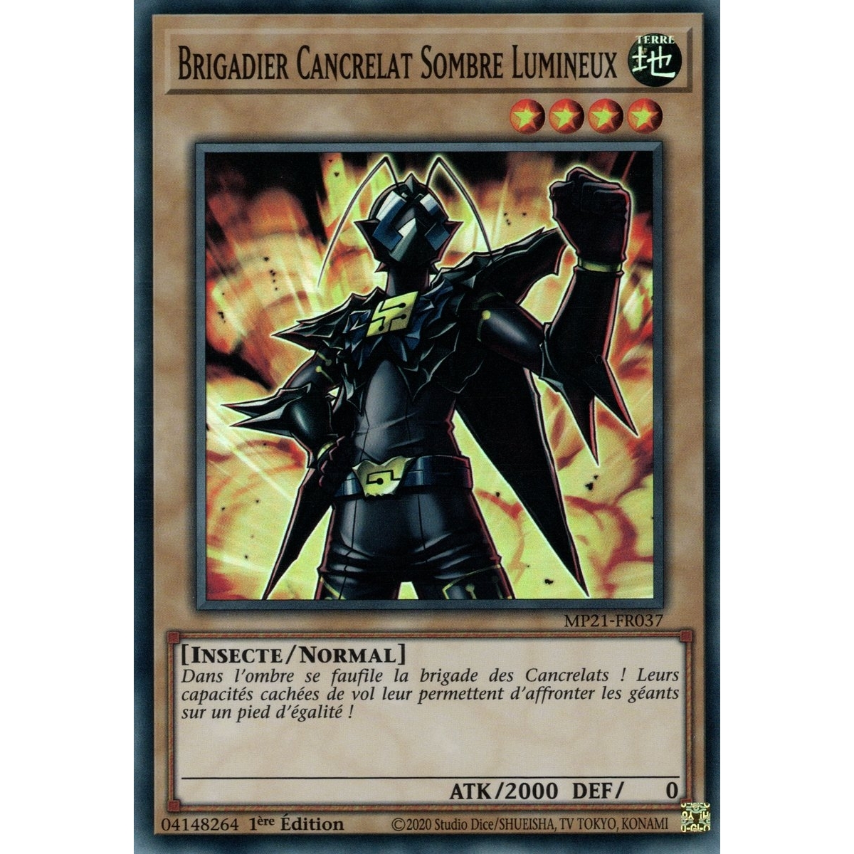 Brigadier Cancrelat Sombre Lumineux MP21-FR037