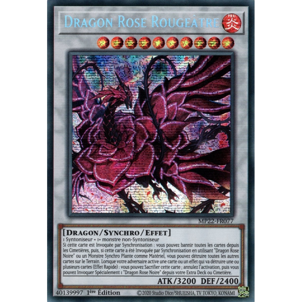 Dragon Rose Rougeâtre MP22-FR077