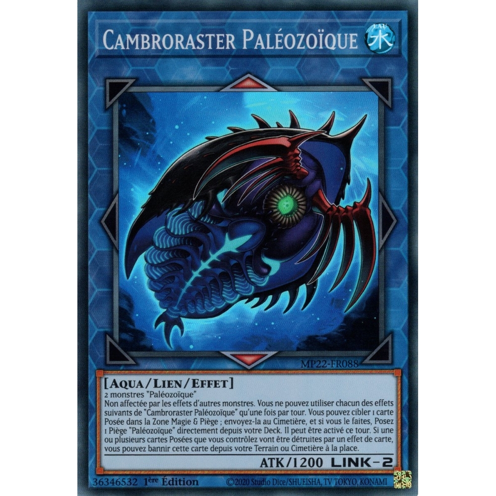 Cambroraster Paléozoïque MP22-FR088