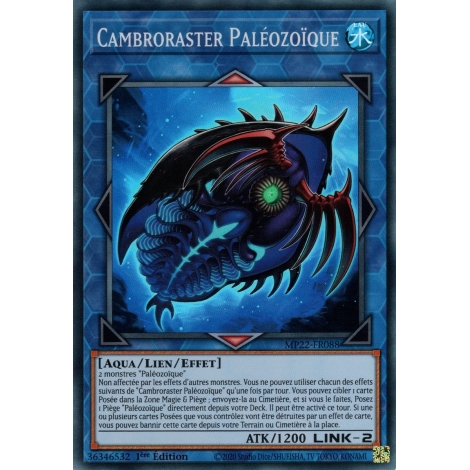 Cambroraster Paléozoïque MP22-FR088