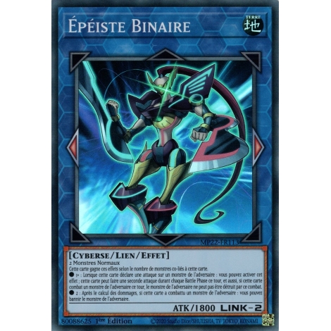 Épéiste Binaire MP22-FR113