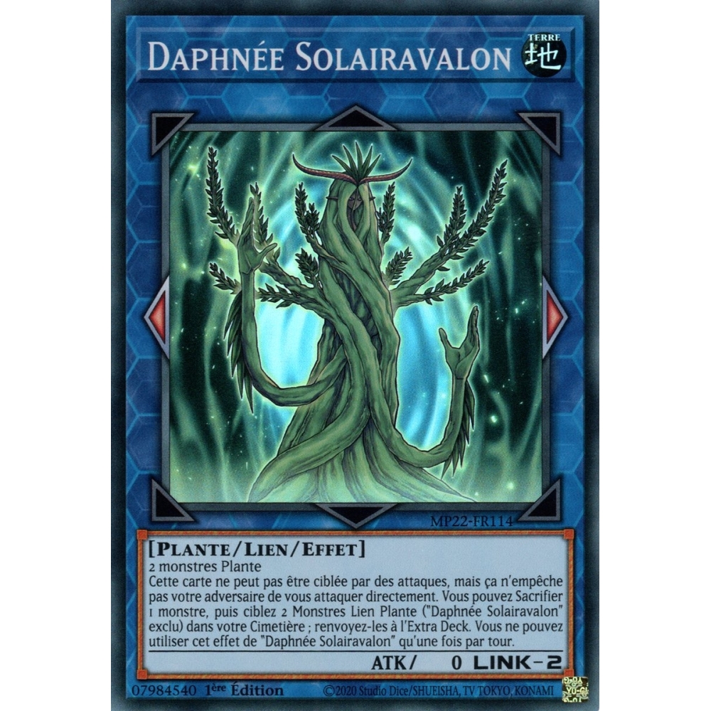 Daphnée Solairavalon MP22-FR114