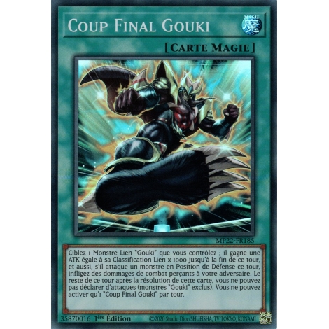 Coup Final Gouki MP22-FR185