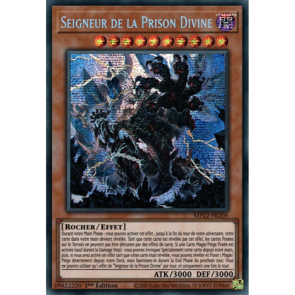 Seigneur de la Prison Divine MP22-FR205