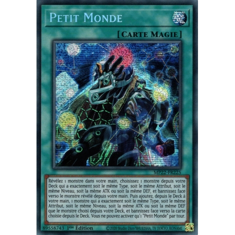 Petit Monde MP22-FR225