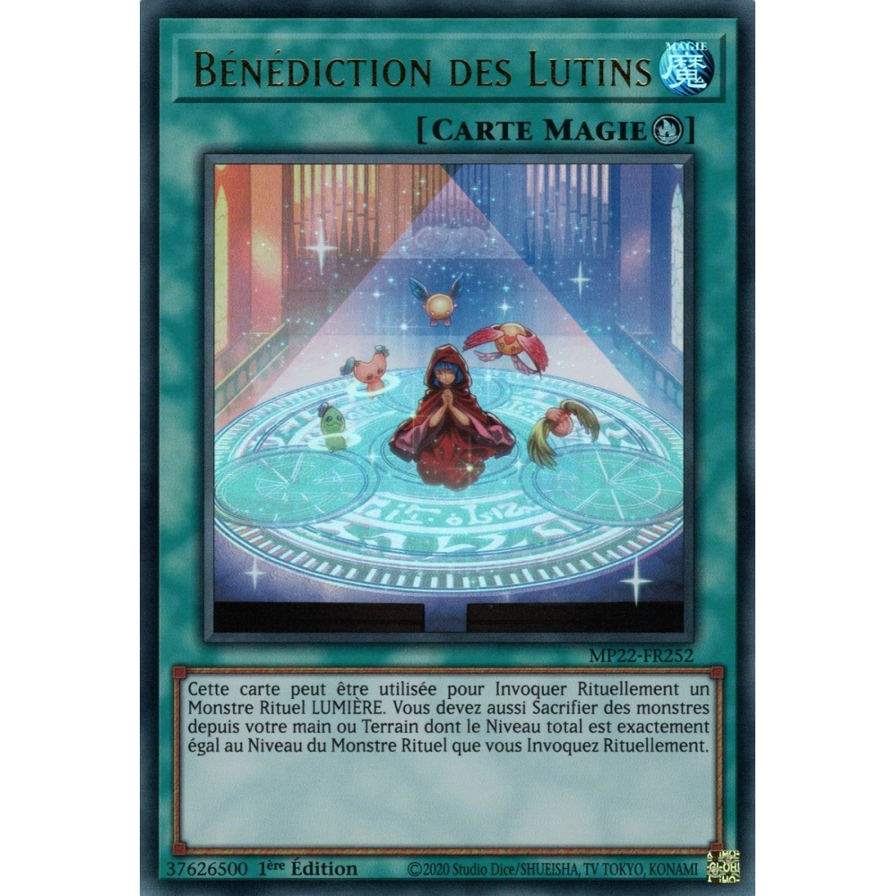 Bénédiction des Lutins MP22-FR252