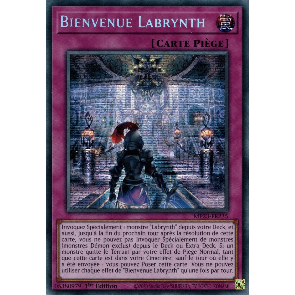 Bienvenue Labrynth MP23-FR235