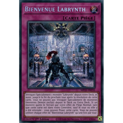 Bienvenue Labrynth MP23-FR235