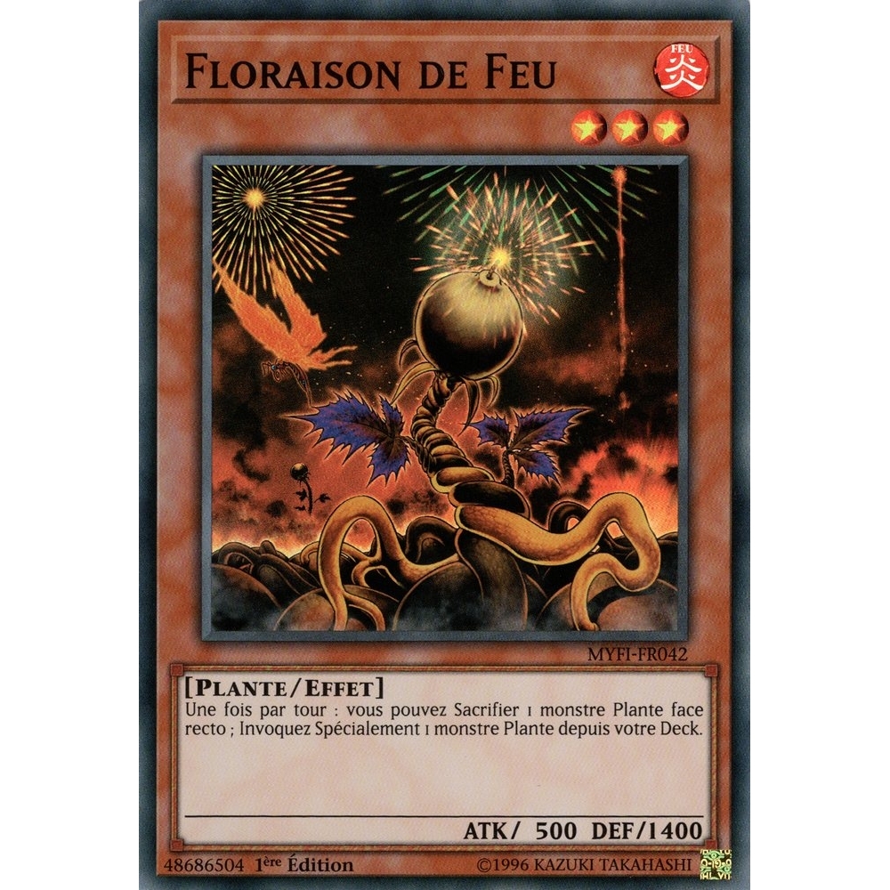 Floraison de Feu MYFI-FR042