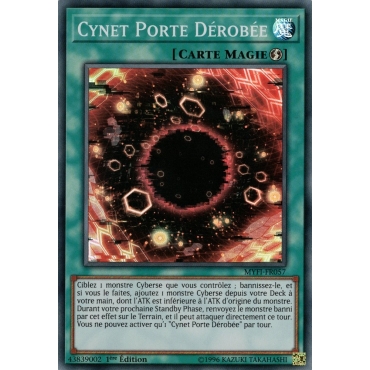 Cynet Porte Dérobée MYFI-FR057