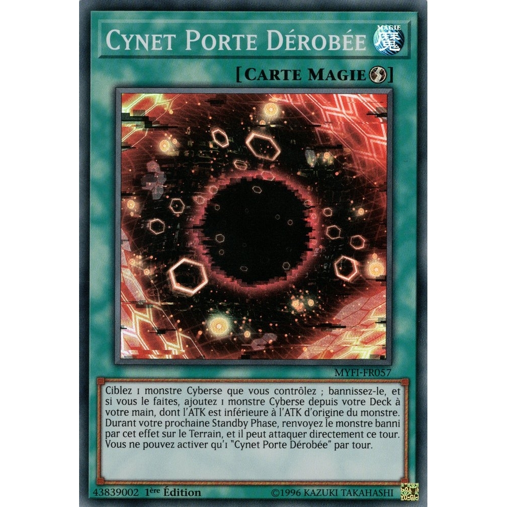 Cynet Porte Dérobée MYFI-FR057