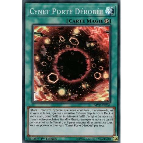 Cynet Porte Dérobée MYFI-FR057
