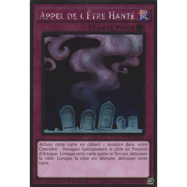 Appel de l'Être Hanté NKRT-FR032