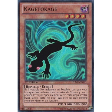 Kagetokage NUMH-FR018