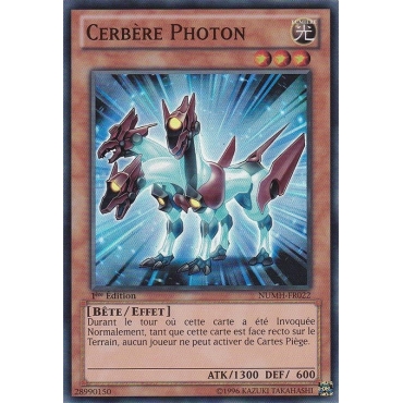 Cerbère Photon NUMH-FR022