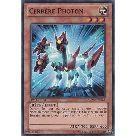 Cerbère Photon NUMH-FR022