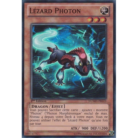 Lézard Photon NUMH-FR023