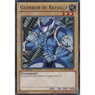 Guerrier de Bataille NUMH-FR025