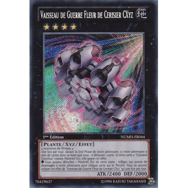 Vaisseau de Guerre Fleur de Cerisier CXyz NUMH-FR044