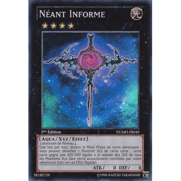 Néant Informe NUMH-FR049