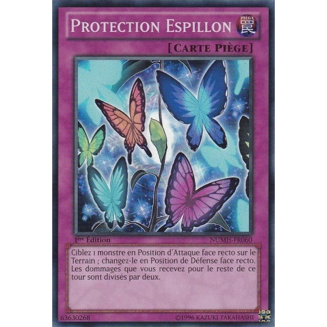Protection Espillon NUMH-FR060