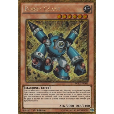 Robot Géant PGL2-FR001