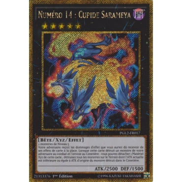 Numéro 14 : Cupide Sarameya PGL2-FR017